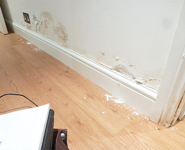 Blackburn Damp Proofing