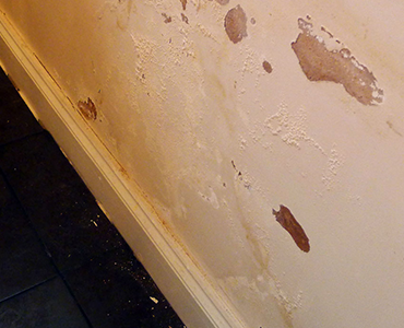 Blackburn Damp Proofing