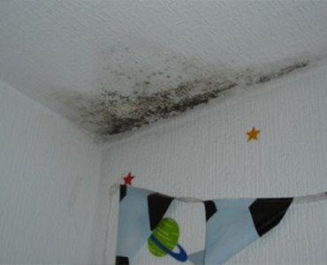 Blackburn Damp Proofing