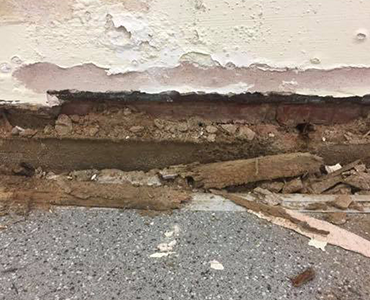 Blackburn Damp Proofing
