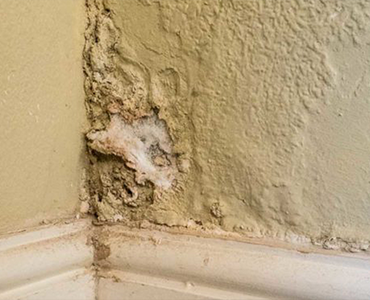 Blackburn Damp Proofing